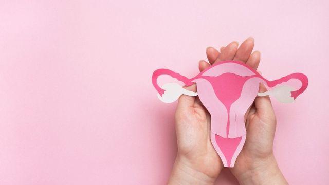 생리 기간도 아닌데 출혈이?”... 女 건강의 숨은 변수 ‘자궁내막 폴립’