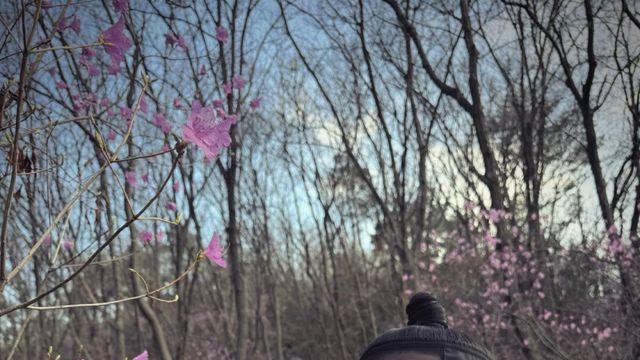 ‘단종오빠’ 박지훈, 오늘만 기다렸다…‘왕사남’ 천만 돌파에 “감사합니다” [IS하이컷]