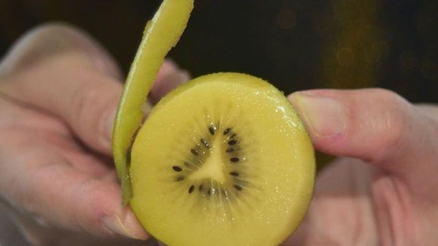 '핵심은 밤 시간대에 먹는 것입니다..' 의외로 모르는 사람이 더 많다는 새콤달콤 과일 키위의 '숨은 효능'