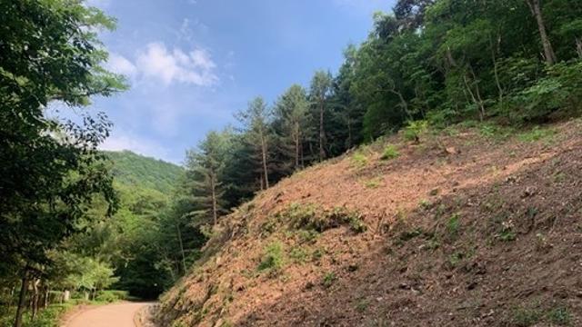 청주시, 상당산성 옛길 급경사지 안전관리 강화