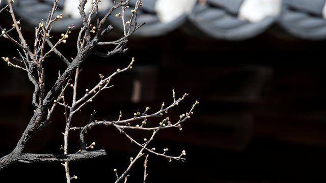 <주말 날씨> 전국 반짝 ‘꽃샘추위’⋯아침 최저 –8~-7도