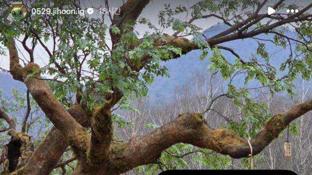 박지훈, '왕사남' 천만 돌파에 직접 감사 인사 