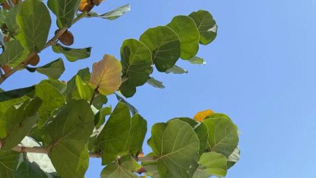 신지, 베트남서 빛나는 미니 원피스 자태 공개… 