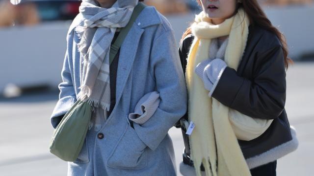 [내일날씨] '아침 최저 -7도' 꽃샘추위…일교차 주의