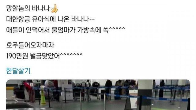 벌금 190만원 내고 바나나 버린 썰.jpg