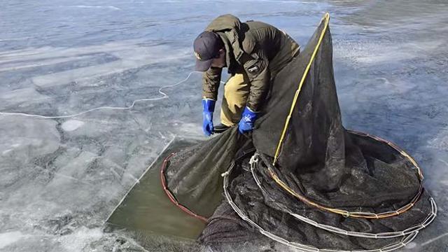 멸치인 줄... 거대 호수서 건진 80m 통발서 바글바글 쏟아진 물고기