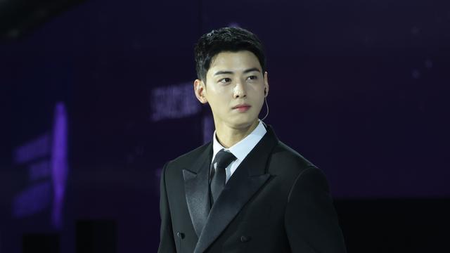 ‘탈세의혹’ 차은우 1인 기획사, 강화도 장어식당 일대 5700여 평 매입