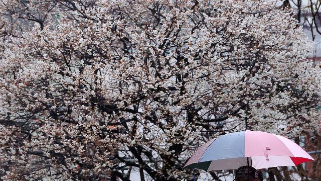 중부지방 곳곳 비·눈… 아침 대부분 영하권