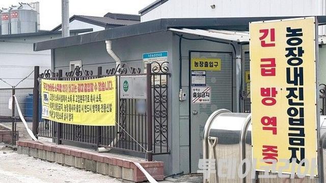 경기 포천서 또 고병원성 AI 발생···중수본, 방역 관리 강화나서