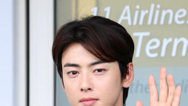 차은우, 1인 기획사 장어집 규모만 4500평…유한책임회사 전환 