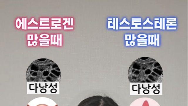 진짜 현실적이라는 에겐녀 테토녀 구분