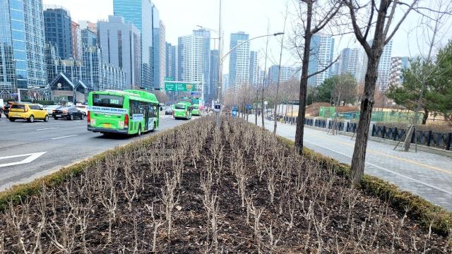 돈들여 버리던 낙엽을 퇴비로 재활용…송파구 