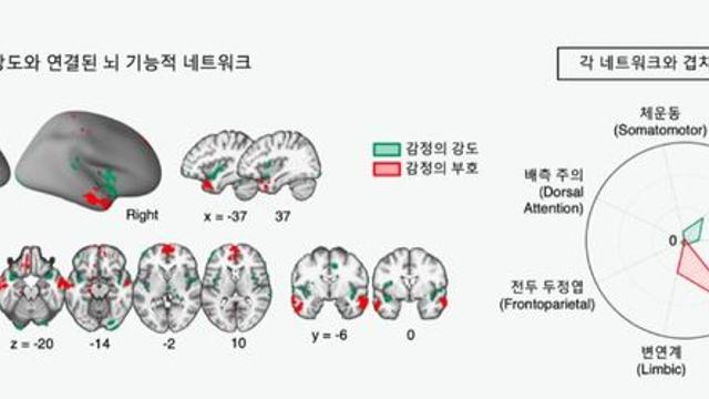혐오가 주는 쾌락은 뇌의 착각이다