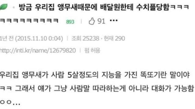 앵무새때문에 수치플