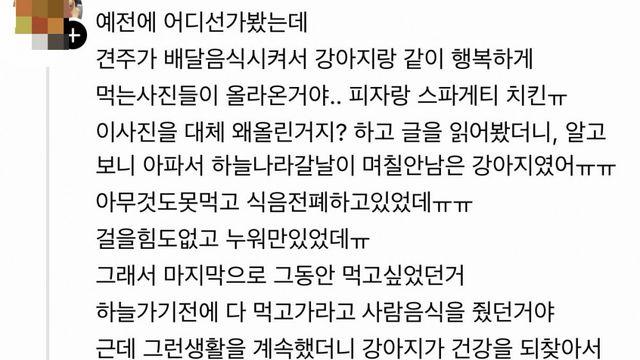 강아지에게 배달음식을 먹인 이유