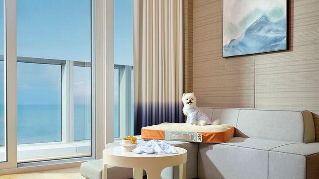 강아지도 ‘프리미엄 침대’···시그니엘 부산서 펫캉스 즐긴다