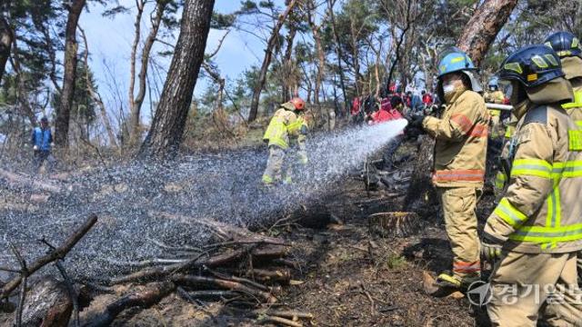 수원 팔달산 공원 화재… 방화 용의자 체포 [포토뉴스]