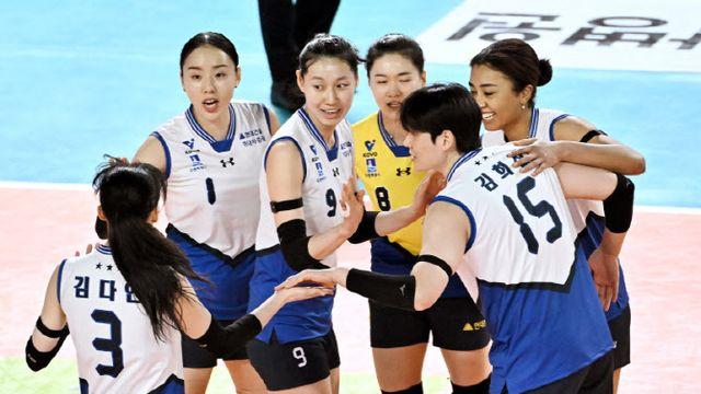 현대건설, 정관장 완파...여자부 선두 도로공사 다시 1점 차 추격