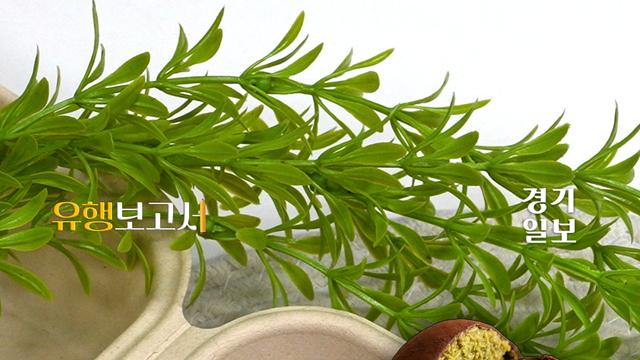 두쫀쿠 가고 버터떡 왔다? 요즘 SNS 난리난 디저트 [유행보고서 EP.1]