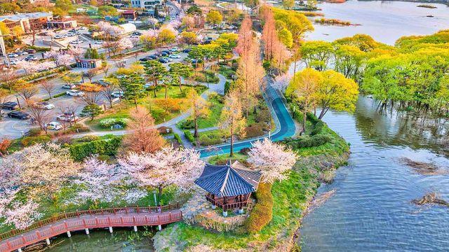 2025년 개장, '충남 1호'의 자부심…산책·데이트 명소 된 '무료' 테마정원