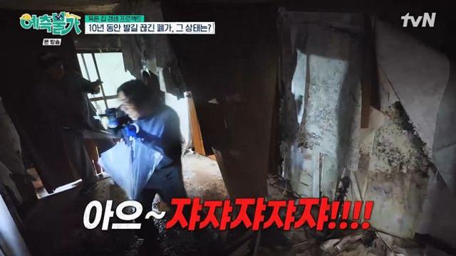 김숙, '220평 제주 폐가' 공개…충격 현장에 빽가 