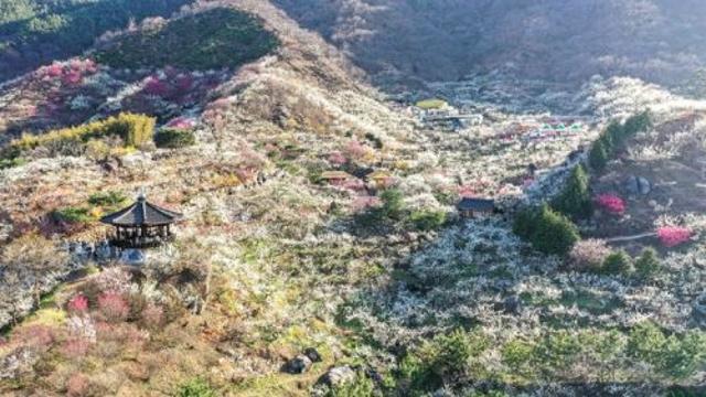 내일날씨, 부산 15도 