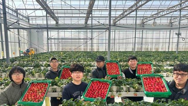 쿠팡, 인구감소지역 등에서 딸기 3000톤 매입…판로 끊긴 지방 농가 활성화