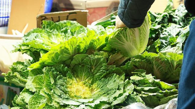 유행따라 널뛰는 음식가격…두쫀쿠·탕후루 두 배 이상 뛰기도