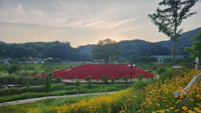 영화 흥행이 지역으로…「왕과 사는 남자」 인기에 영월 관광도 '주목'