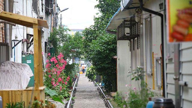 소도시 가볼만한 곳 ③군산 경암동 철길마을·군산근대미술관·초원사진관