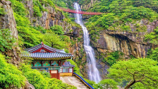 부모님이 더 좋아하시는 곳…폭포·출렁다리까지 있는 '무료' 사찰 투어