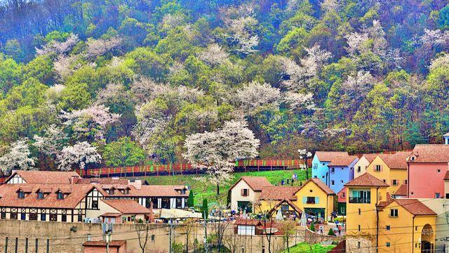 여기가 한국이야, 유럽이야?…서울 근교, 청평호 품은 '프랑스 마을'