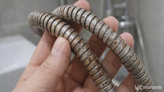 욕실 샤워기 호스 '이렇게' 관리하세요… 락스 없이도 묵은 때가 싹 사라집니다