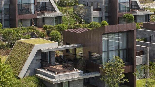 강아지와 라운딩까지···제주 펫 골프 패키지 등장