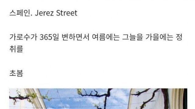 스페인 조경 성공 사례 - 헤레스 스트리트