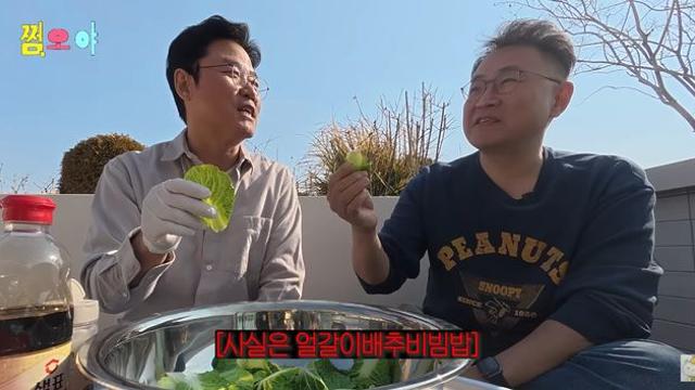 강호동 '15년만 유행' 봄동비빔밥, 알고 보니…