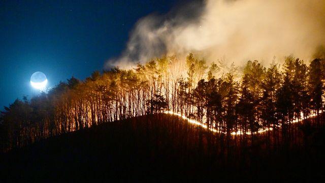 ‘봉대산 불다람쥐’ 재범에 공분…방화범 처벌·관리 강화 목소리 커져