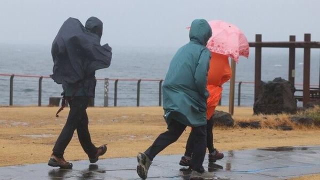 [날씨] 전국 흐리고 봄비…제주 최대 70㎜ ‘강한 비’ 주의