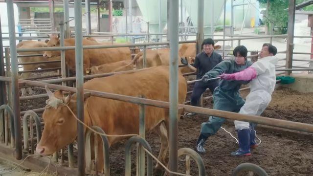 수목드라마 부활 이끈다…다음 달 SBS에서 첫 방송 출격하는 한국 드라마