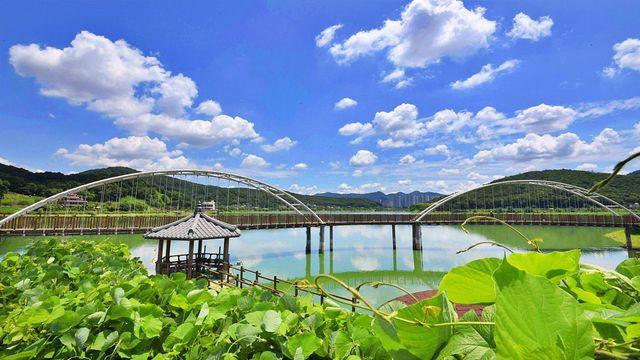 서울·안양·안산 어디든 가깝다…수도권 '무료' 수변 산책·라이딩 명소