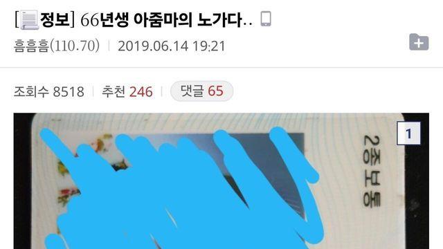 66년생 아줌마의 노가다