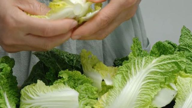 고춧가루는 제발 그만...봄동에는 '이 가루' 뿌려야 제대로 맛이 납니다