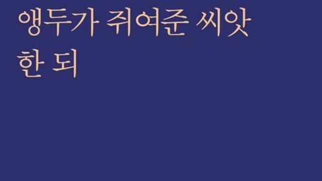 [김정수의 책꽂이 ㊸] 사윤수 시집 ‘앵두가 쥐여준 씨앗 한 되’