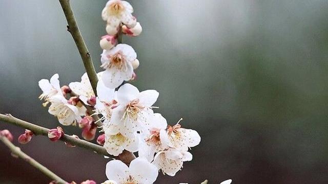 [날씨] 꽃샘추위 다시 기승…수도권·충남·강원영서 미세먼지 ‘나쁨’ 예보