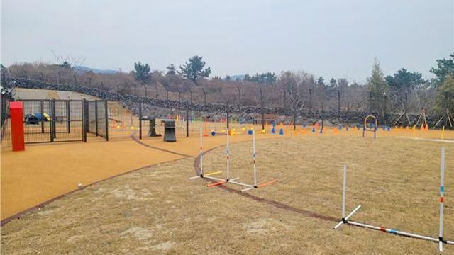 봄 맞아 제주 반려동물 놀이공원 운영 시간 확대