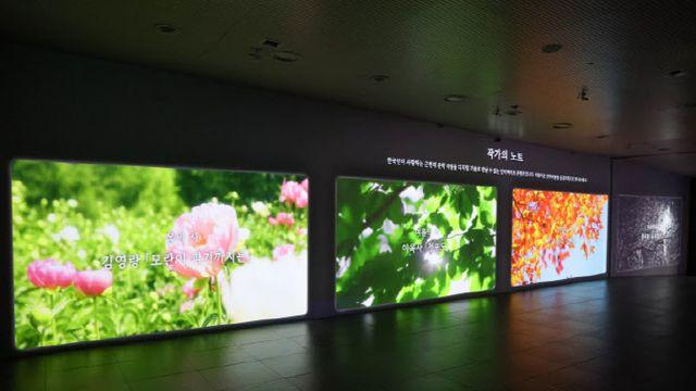 한국 근대시, 미디어아트로 체험한다…국립중앙도서관 신규 전시
