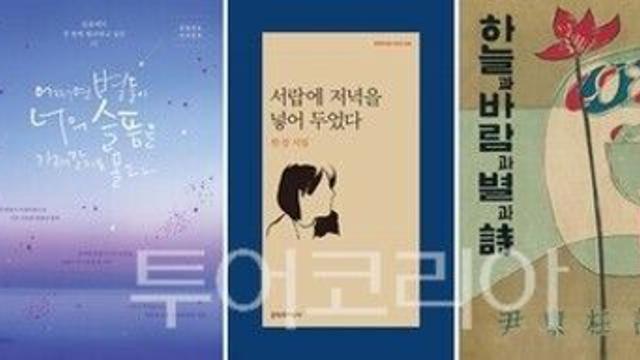 나태주 시인 ‘꽃을 보듯 너를 본다’, 10년간 가장 많이 팔린 시집 1위