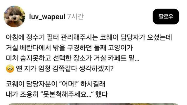 모르는 사람 와서 숨었는데 살짝 덜 숨은 냥이