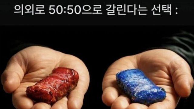 의외로 50:50으로 갈린다는 선택