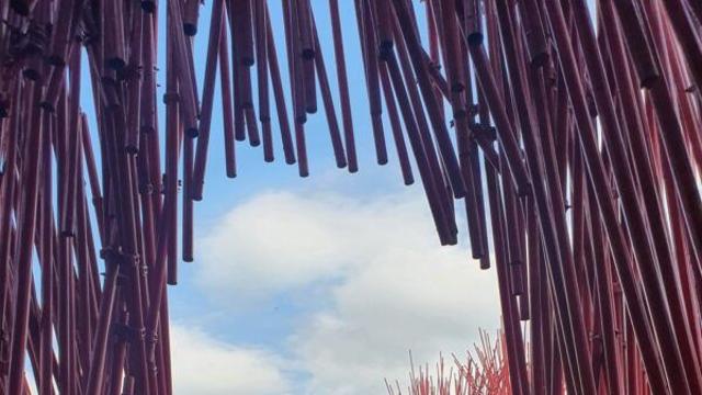 영화  속 영월 스폿 4ㅣ마리끌레르